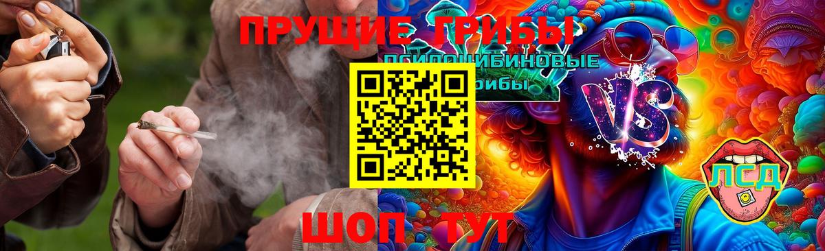 Галлюциногенные грибы MAGIC MUSHROOMS  Вход с VPN  Галлюциногенные грибы мухоморы  Осинники 