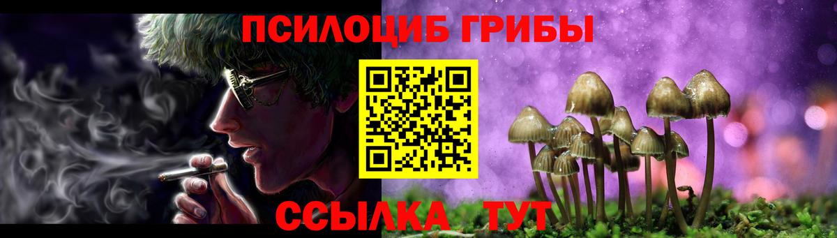 Псилоцибиновые грибы Magic Shrooms Осинники